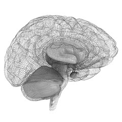 Image showing Creative concept of the human brain