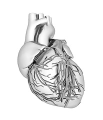 Image showing Human heart