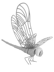 Image showing Dragonfly