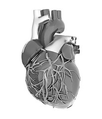 Image showing Human heart