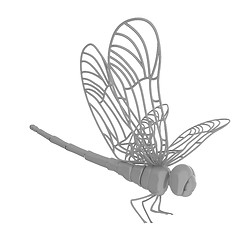 Image showing Dragonfly