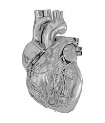 Image showing Human heart