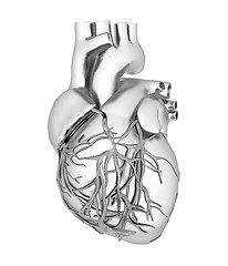 Image showing Human heart