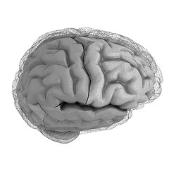 Image showing Creative concept of the human brain