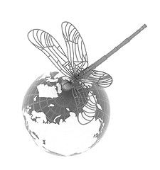 Image showing Dragonfly on earth