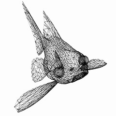 Image showing Fish