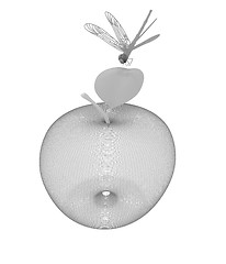 Image showing Dragonfly on apple