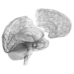 Image showing Creative concept of the human brain