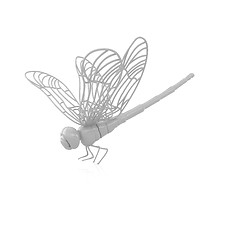 Image showing Dragonfly