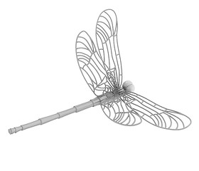 Image showing Dragonfly