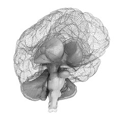 Image showing Creative concept of the human brain