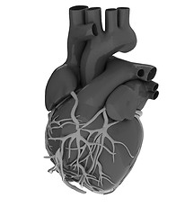 Image showing Human heart