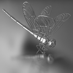 Image showing Gold dragonfly on a gold background