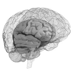 Image showing Creative concept of the human brain