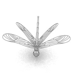 Image showing Dragonfly