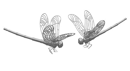 Image showing Dragonfly