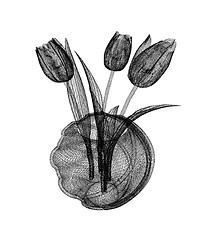 Image showing Tulips with leaf in vase