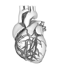 Image showing Human heart