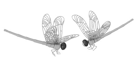 Image showing Dragonfly