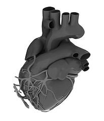 Image showing Human heart