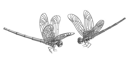 Image showing Dragonfly