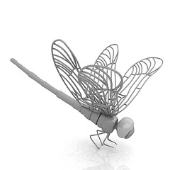 Image showing Dragonfly