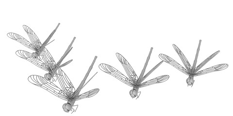 Image showing Dragonflies