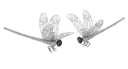 Image showing Dragonfly