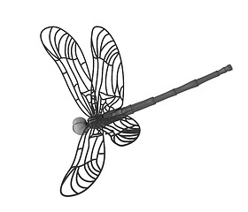 Image showing Dragonfly