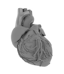 Image showing Human heart