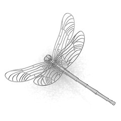 Image showing Dragonfly