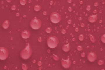 Image showing Water Drops