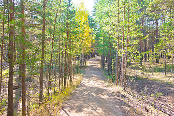 Image showing autumn road