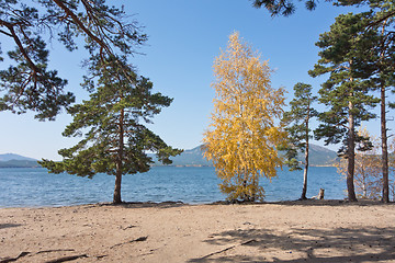 Image showing autumn lake