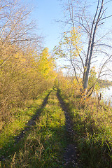Image showing road nea lake