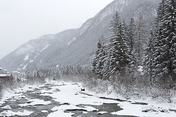 Image showing Winter landscape with foggy weather