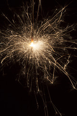 Image showing Burning sparkler on black background