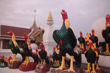 Image showing ASIA THAILAND ISAN KHORAT CHICKEN TEMPLE