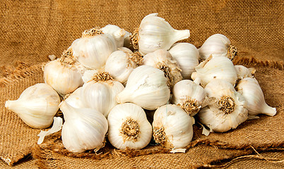 Image showing Big pile of garlic