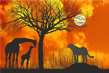 Image showing Cheetah and giraffe at sunset