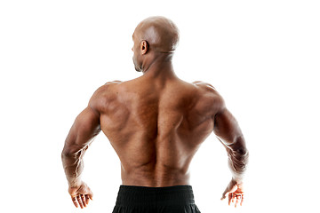 Image showing Muscular Back