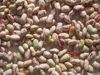 Image showing Crimson beans vegetables background