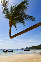 Image showing sun ligt asia in the  kho tao bay isle white  