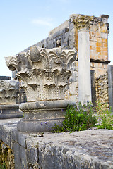 Image showing volubilis in morocco africa the   deteriorated monument and site