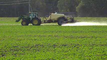 Image showing Tractor spray rape seed field with pesticide chemicals in autumn 