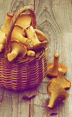 Image showing Raw Chanterelles