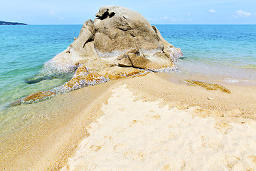 Image showing asia   bay isle white  beach    south china sea kho samui  