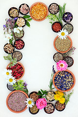 Image showing Medicinal Healing Herbs and Flowers