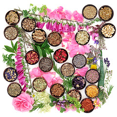 Image showing Medicinal Herbs and Flowers 