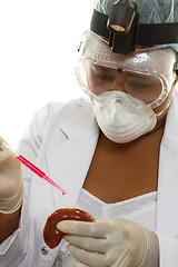 Image showing Medical researcher